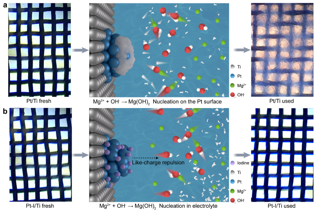 镁”智库|一电两用、一水双收！我国科研人员突破海水制氢提镁联产技术