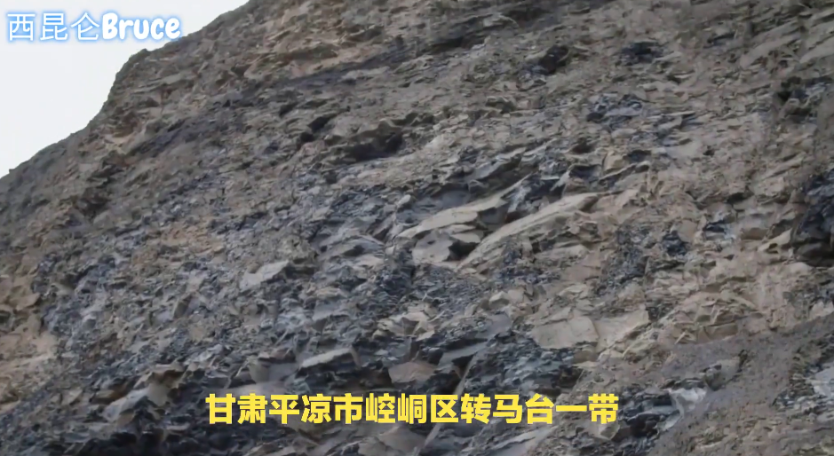 平凉镁基新材料产业发展座谈会召开