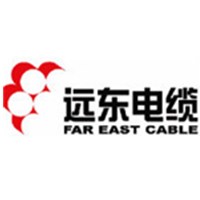 <div style="text-align:center;">
	<strong><span style="font-family:SourceHanSerifCN-Regular;font-size:16px;">远东电缆榆林市运营中心</span></strong>
</div>