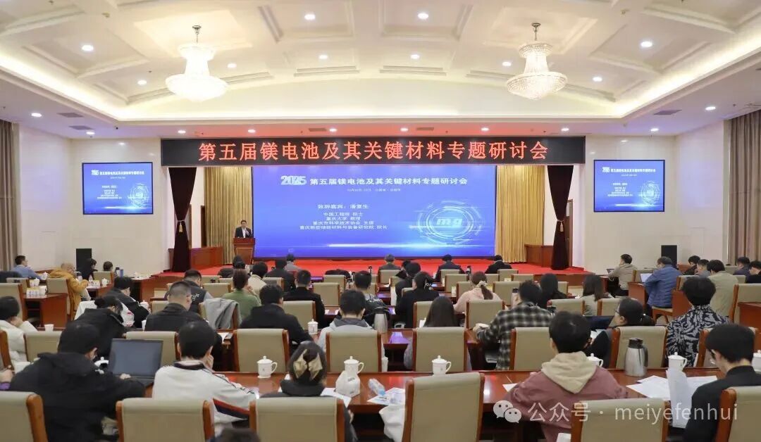 第五届镁电池及其关键材料专题研讨会召开